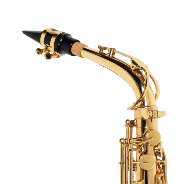 SAX ALTO MICHAEL WASM30N - Image 4