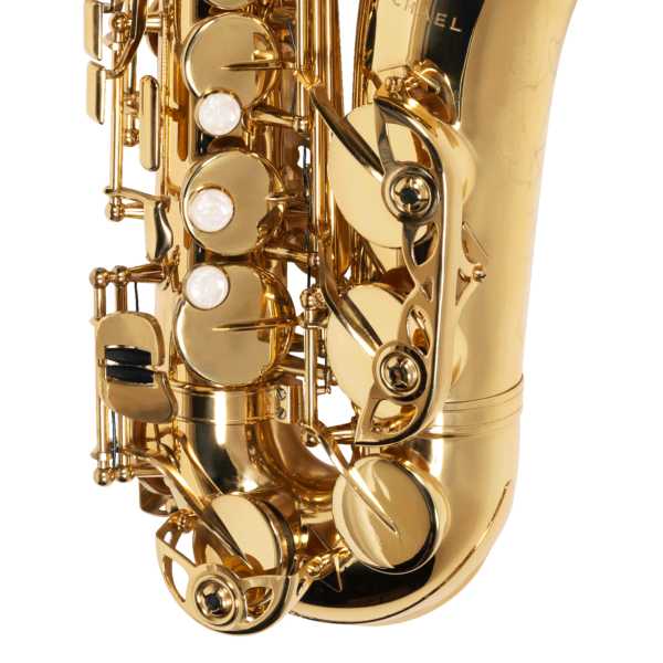 SAX ALTO MICHAEL WASM30N - Image 2