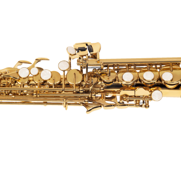 SAX SOPRANO MICHAEL WSSM30N - Image 6