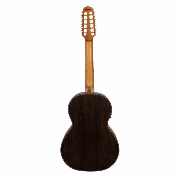 VIOLA PANTANAL C/ CAP. FISHMAN -LOURO PRETO - Image 3