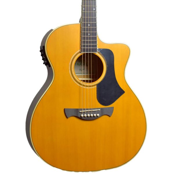 VIOLÃO GRAND AUDITORIUM CUTAWAY EQ AÇO - Image 2