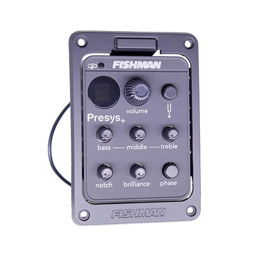 VIOLA ROZINI RV181 SIGNATURE TIAO CARREIRO FISHMAN PRESYS - Imagem 6