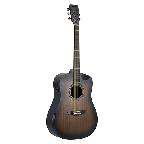 VIOLAO STRINBERG FOREST FS4D HCR TBS FOLK