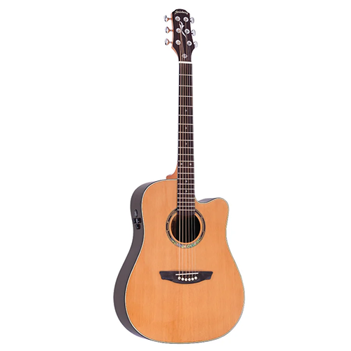 VIOLAO STRINBERG DUBLIN DE55SC N