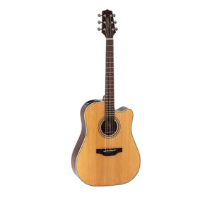 VIOLAO TAKAMINE GD20CE NS FOSCO TP4TD