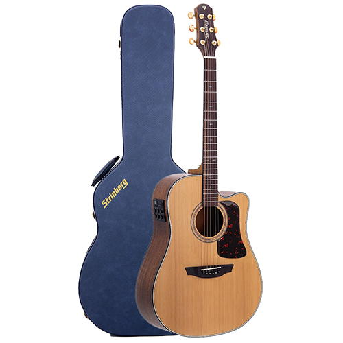 VIOLAO STRINBERG DIAMOND DD6SC NS FOLK 1