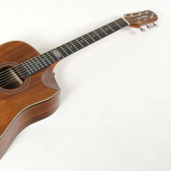 VIOLAO STRINBERG SD301HCR GALAXY MGS FOLK - Imagem 2