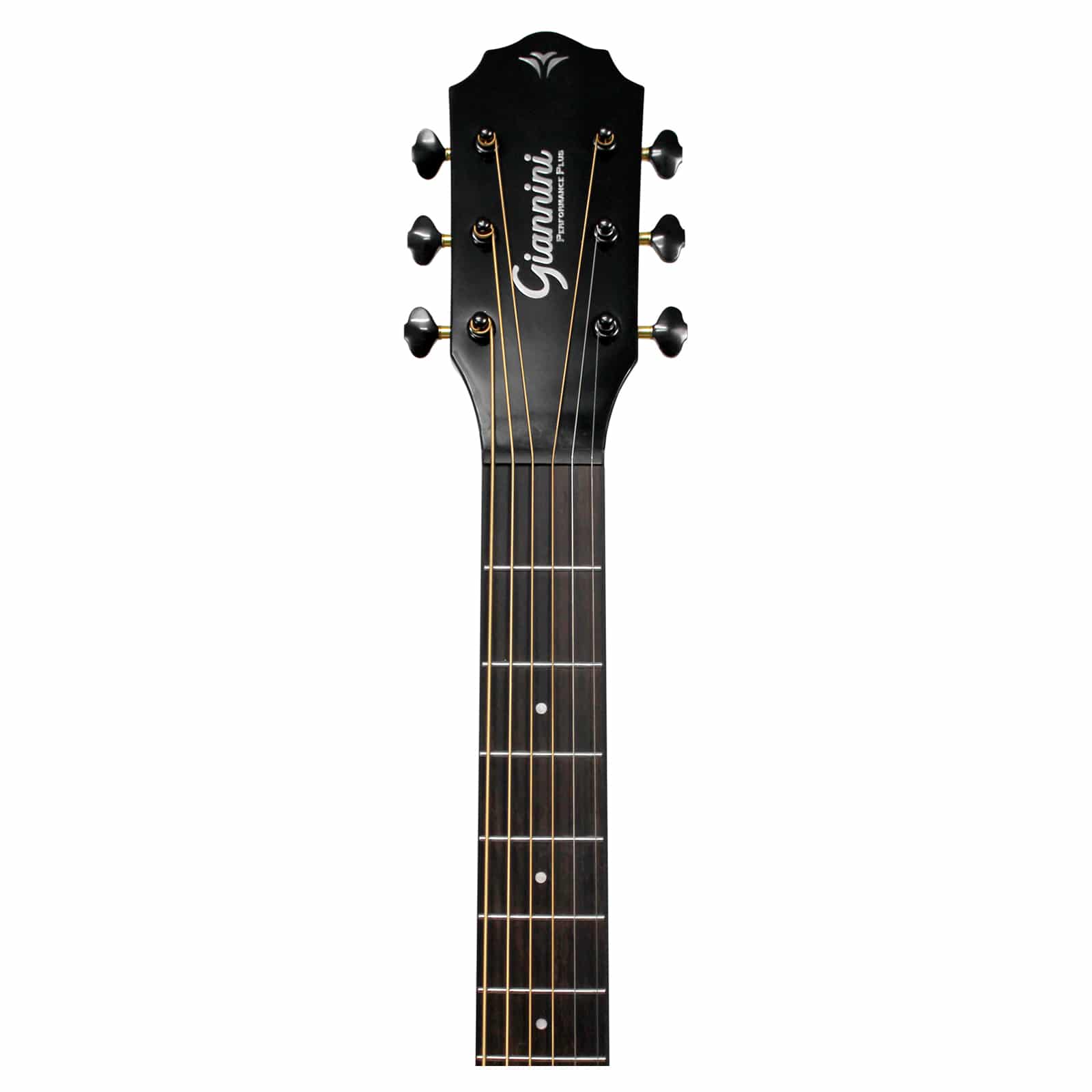 VIOLAO GIANNINI PERFORMANCE PLUS ACO GRAND AUDITORIUM FULL BROWN - Image 4